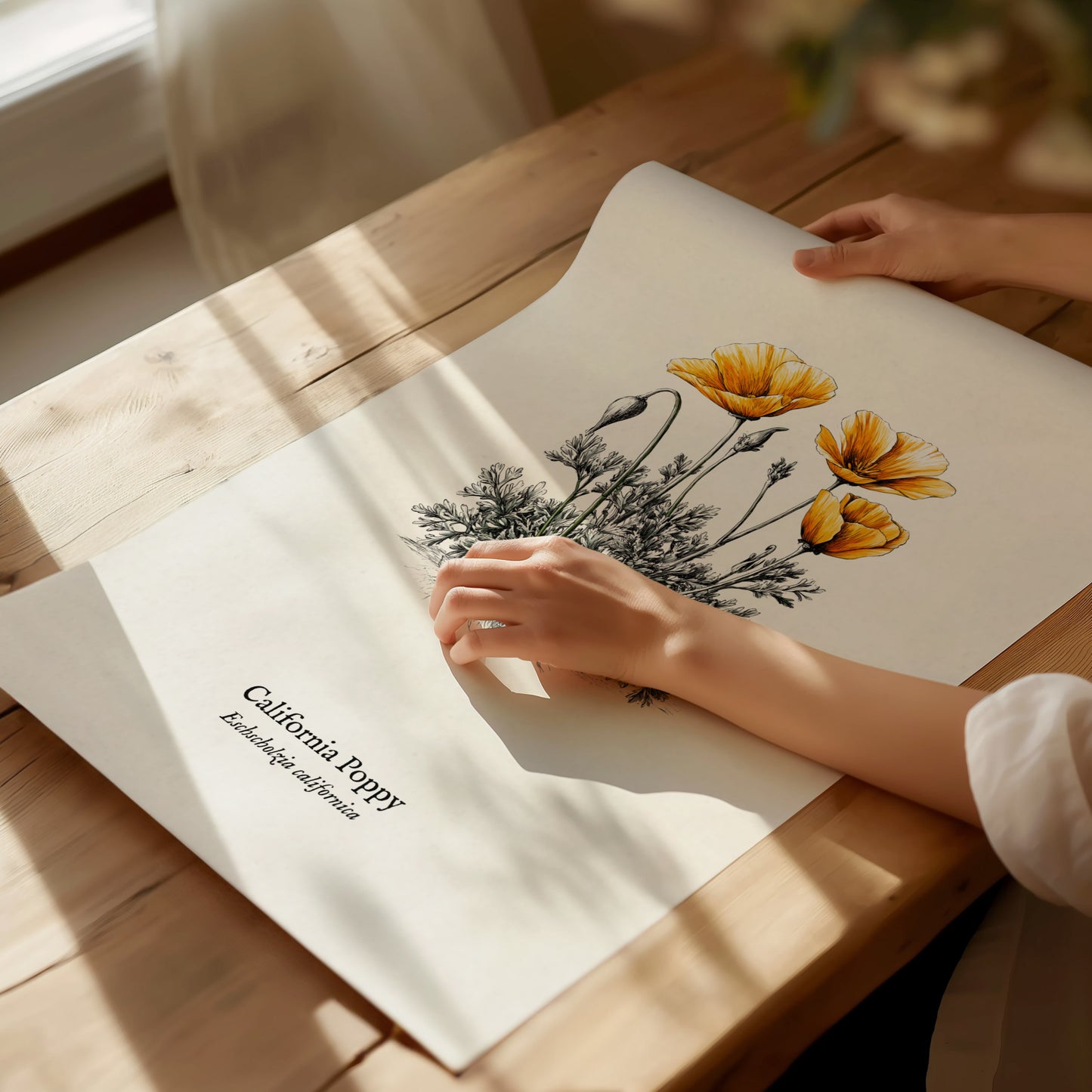 California Poppy Poster | Vintage Eschscholzia californica Botanical Illustration Wall Art — giclée print detail on matte pap