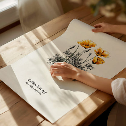 California Poppy Poster | Vintage Eschscholzia californica Botanical Illustration Wall Art — giclée print detail on matte pap