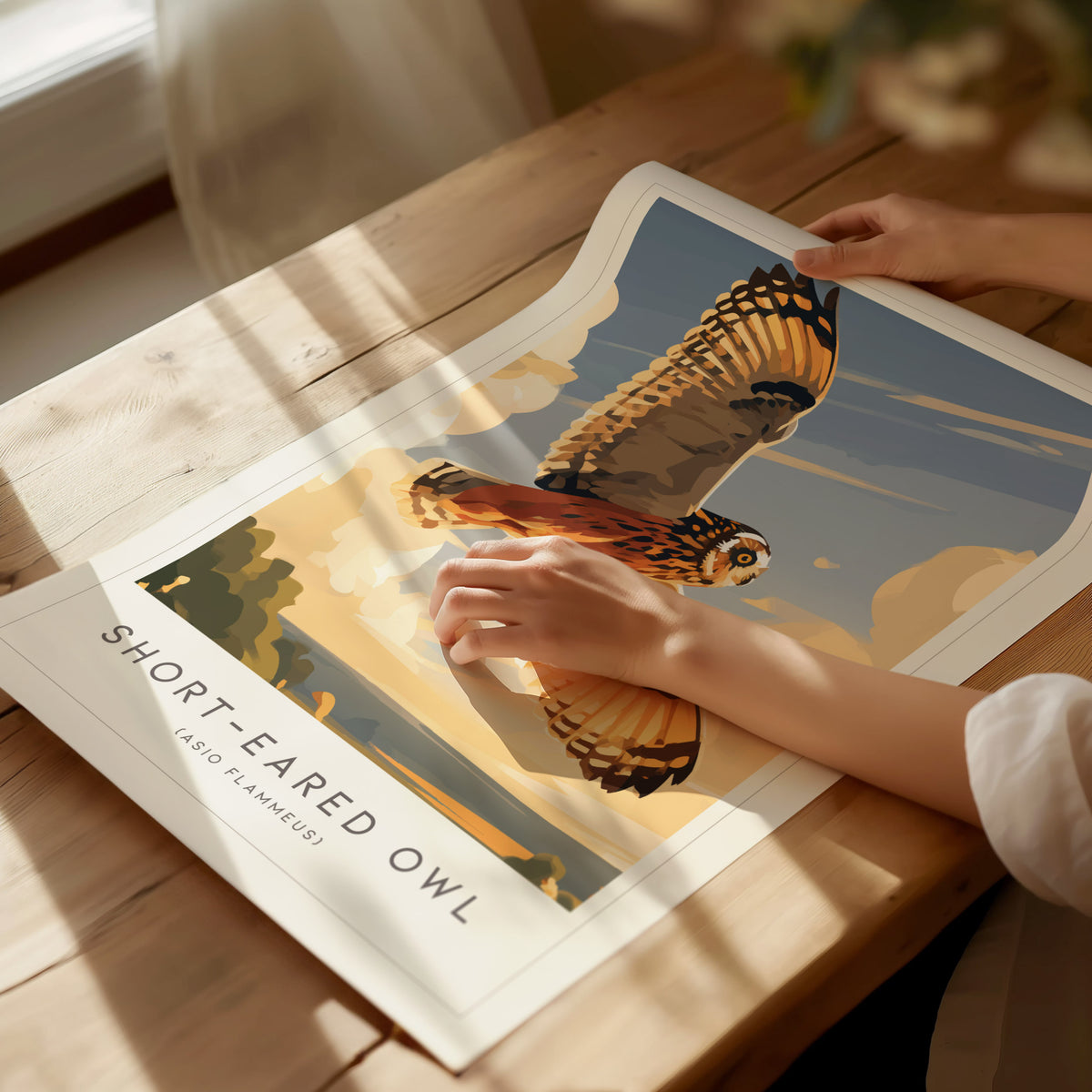 Short-eared Owl, Asio flammeus Poster | Raptor Wildlife Print Nature Wall Art — giclée print detail on matte paper