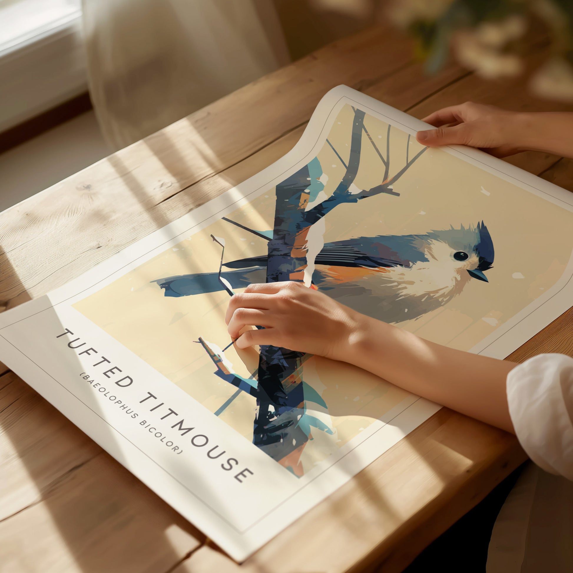 A person is handling a poster featuring an illustration of a tufted titmouse perched on a branch. The artwork displays the bird with gray plumage and a crest, set against a minimalist background on a wooden table.