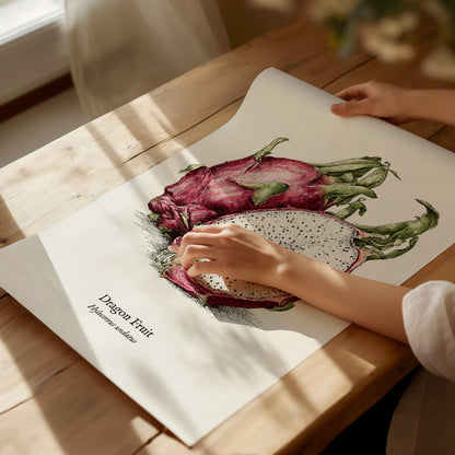 Dragon Fruit Poster | Vintage Hylocereus undatus Botanical Illustration Wall Art — giclée print detail on matte paper