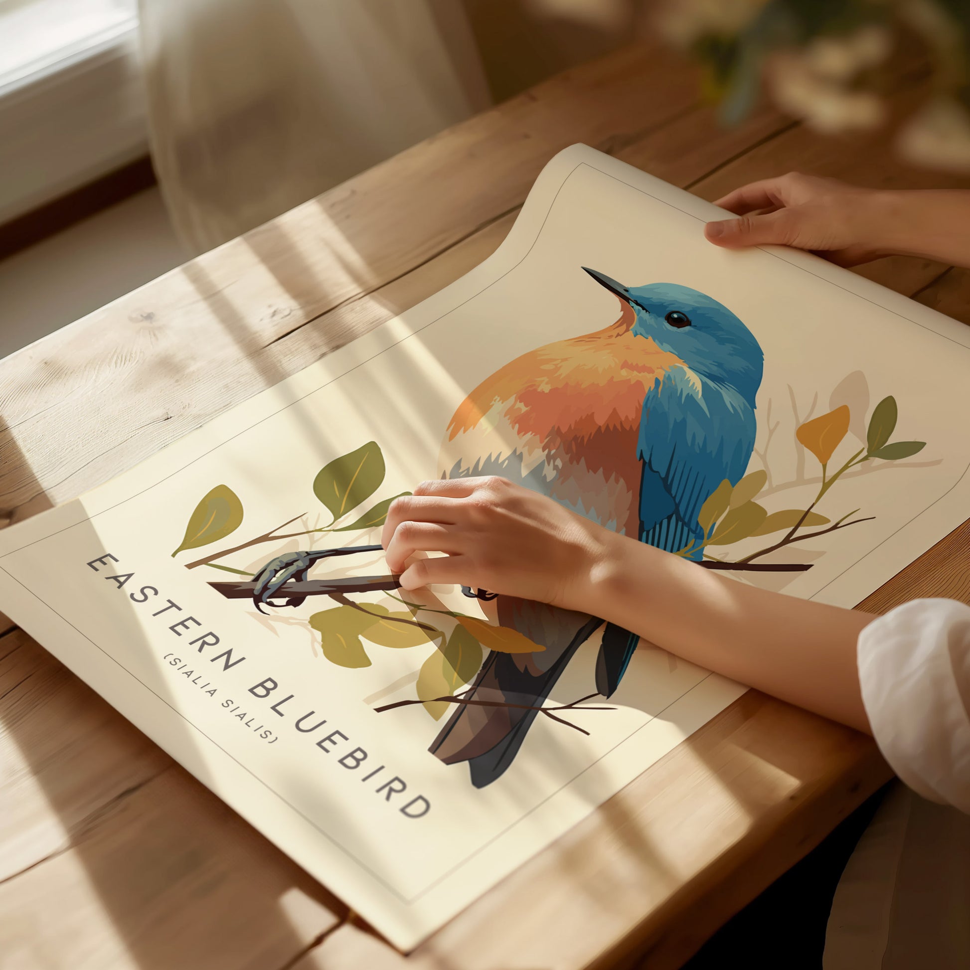 Eastern Bluebird Audubon Print | Bird Lover Cottagecore Wall Art | Framed or Unframed