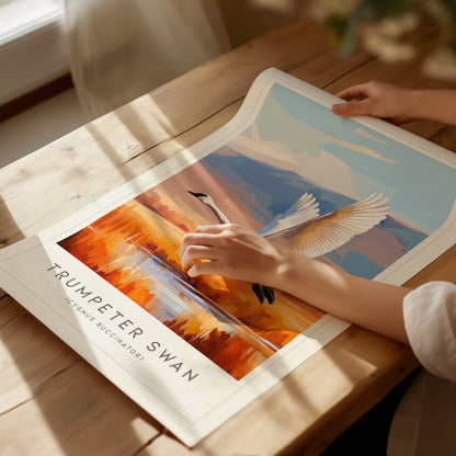 Trumpeter Swan Poster | Elegant Waterbird in Winter Calm Wall Art — giclée print detail on matte paper