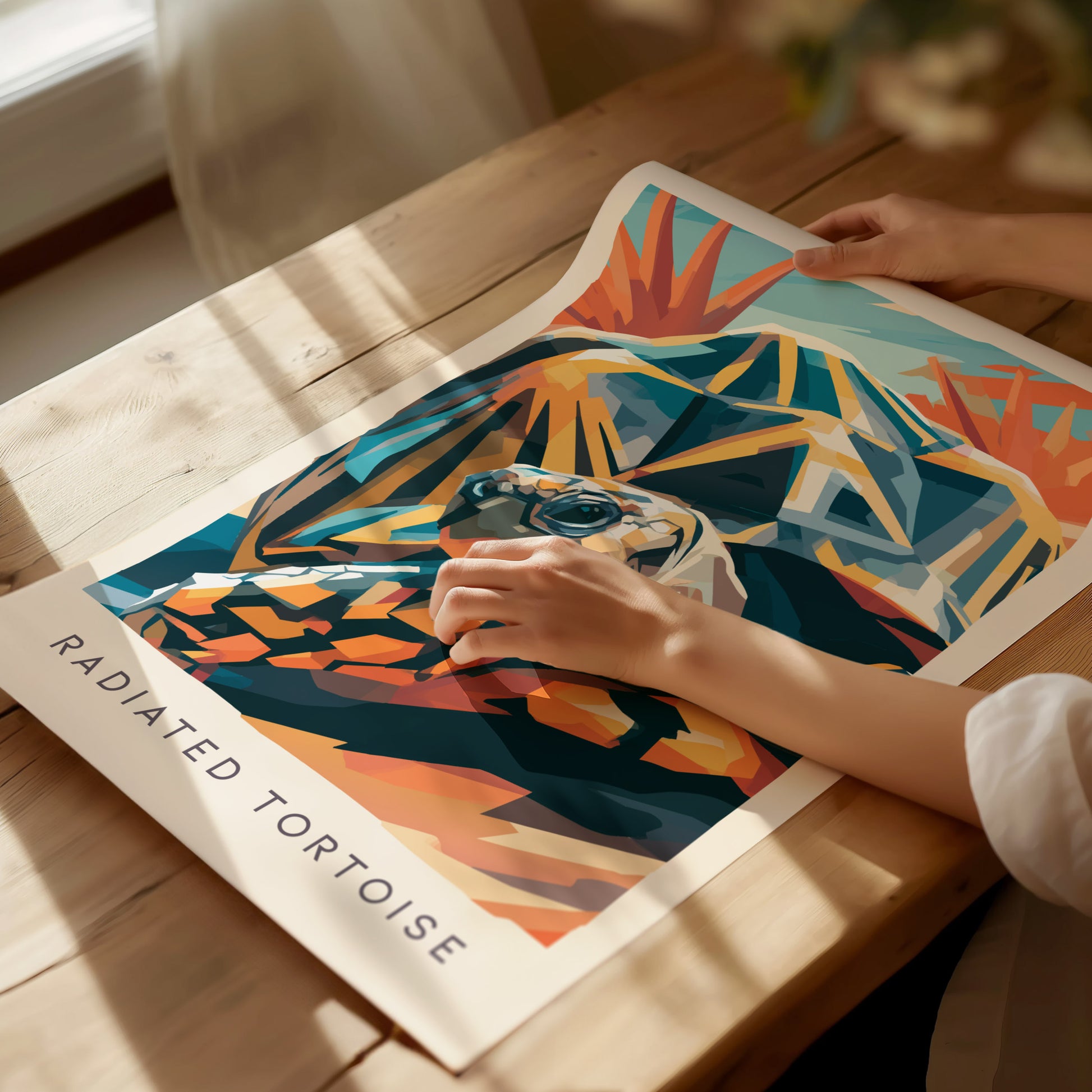 Radiated Tortoise Poster | Exotic Wildlife Portrait Fine Wall Art — giclée print detail on matte paper