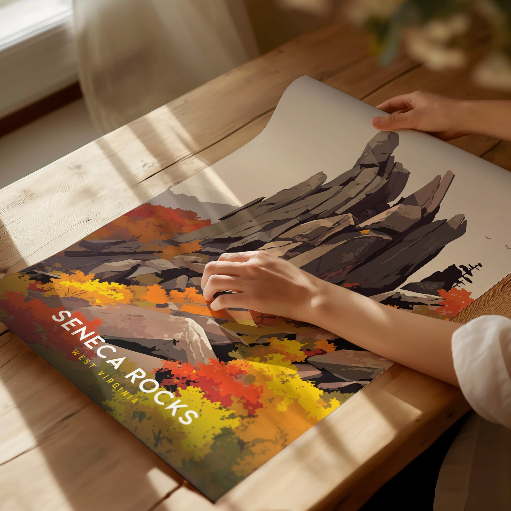 A person unrolls a colorful Seneca Rocks poster featuring autumn foliage and dramatic rock formations, on a wooden table lit by natural sunlight.