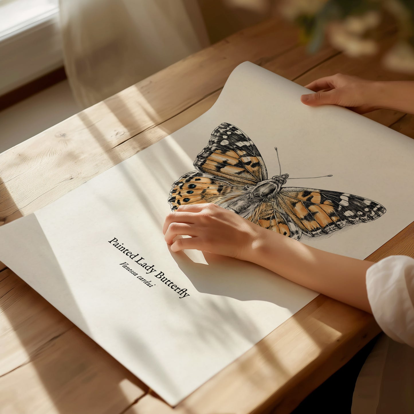 Painted Lady Butterfly Poster | Vintage Vanessa cardui Zoological Illustration Wall Art — giclée print detail on matte paper
