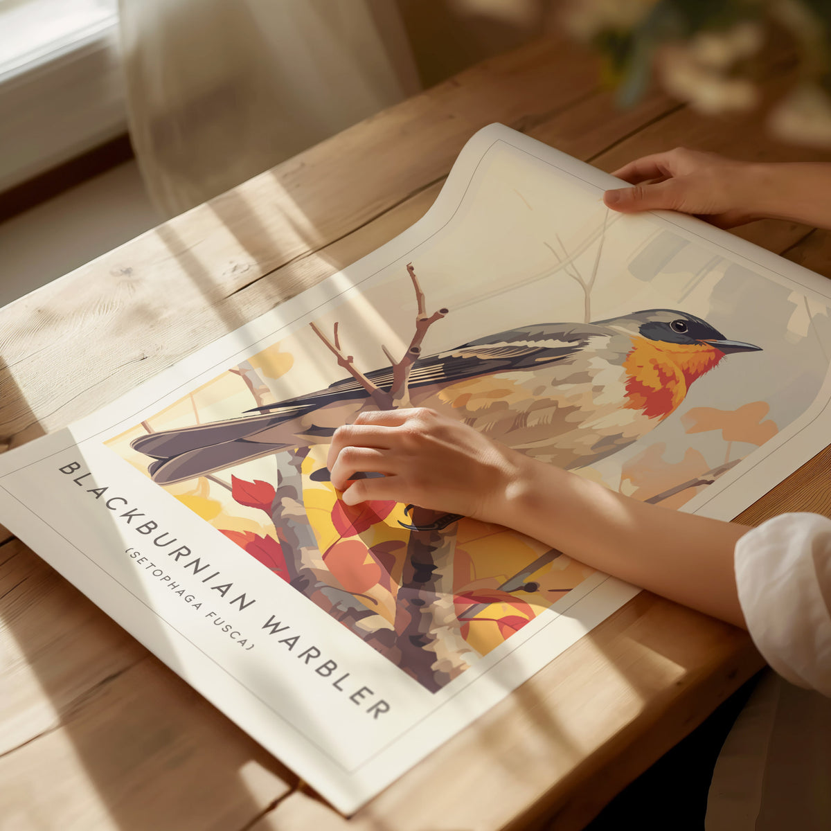 Blackburnian Warbler, Setophaga fusca Poster | Fiery Songbird Nature Print Wall Art — giclée print detail on matte paper