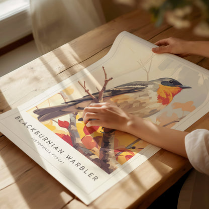 Blackburnian Warbler, Setophaga fusca Poster | Fiery Songbird Nature Print Wall Art — giclée print detail on matte paper