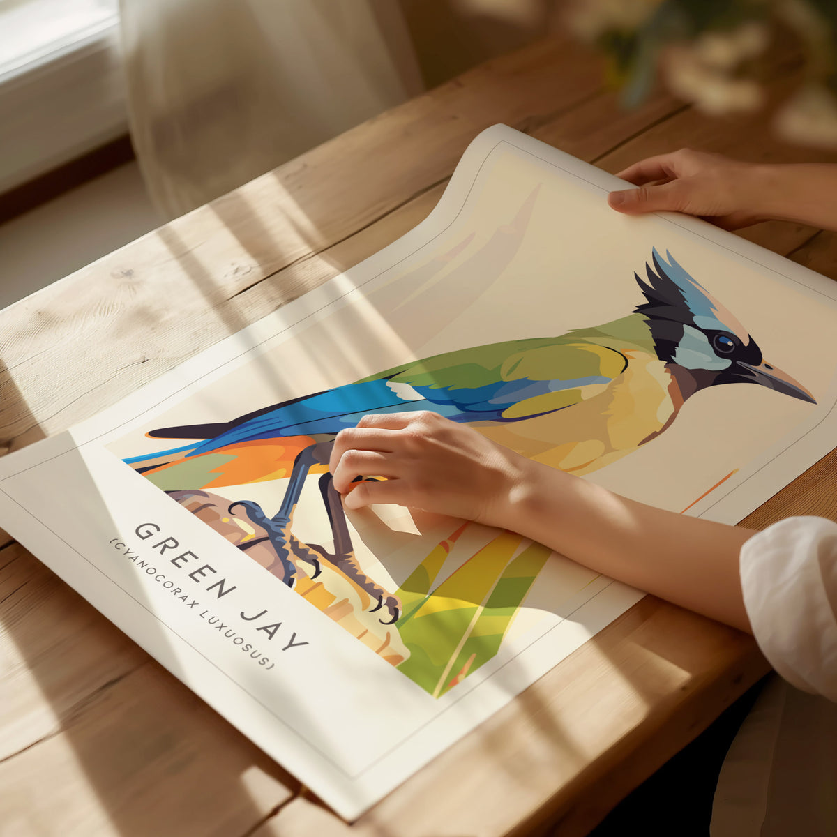 Green Jay, Cyanocorax luxuosus Poster | Tropical Bird Wall Art — giclée print detail on matte paper