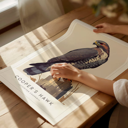 Cooper's Hawk Audubon Print | Bird Lover Modern Wildlife Wall Art | Framed or Unframed