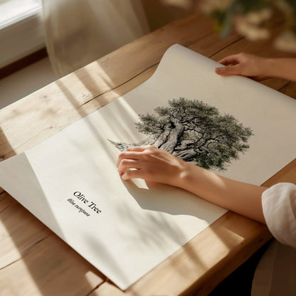 Olive Tree Poster | Vintage Olea europaea Botanical Illustration Wall Art — giclée print detail on matte paper