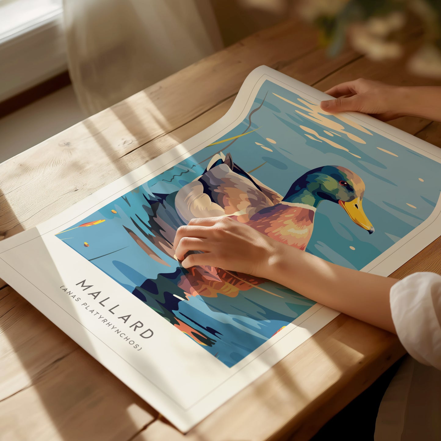 Mallard Poster | Graceful Duck on Tranquil Waters Wall Art — giclée print detail on matte paper