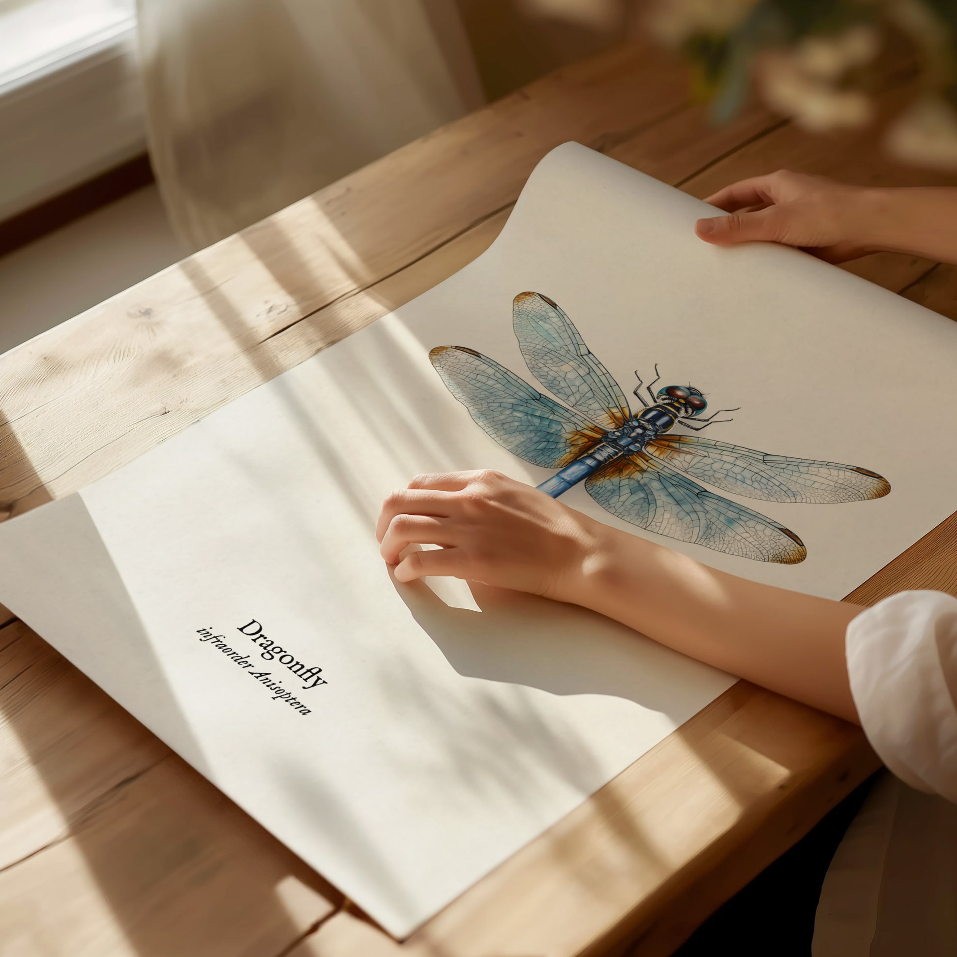 Dragonfly Poster | Vintage Anisoptera Zoological Illustration Wall Art — giclée print detail on matte paper
