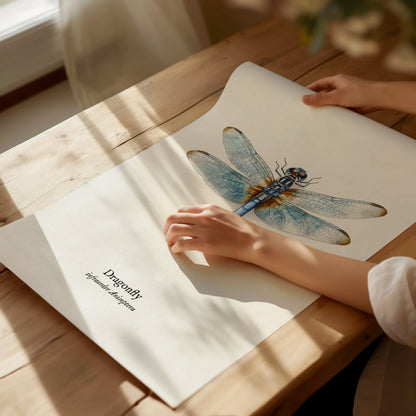 Dragonfly Poster | Vintage Anisoptera Zoological Illustration Wall Art — giclée print detail on matte paper