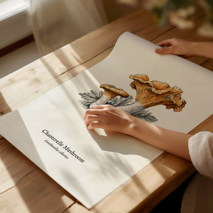 Chanterelle Mushroom Poster | Cantharellus cibarius Pen and Ink Print Vintage Scientific Illustration — giclée print detail o
