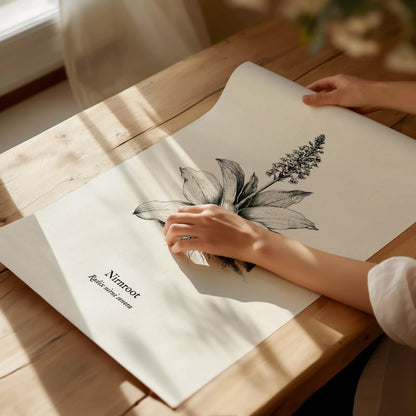 Nirnroot Poster | Radix Nirni Sonora Pen and Ink Print Vintage Botanical Illustration Wall Art — giclée print detail on matte