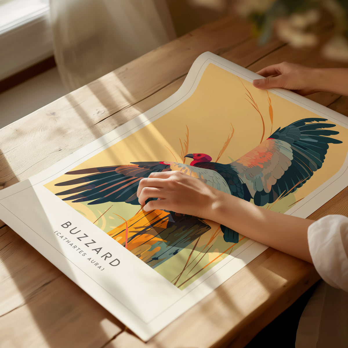 Buzzard, Cathartes aura Poster | Turkey Vulture Bird Wall Art — giclée print detail on matte paper