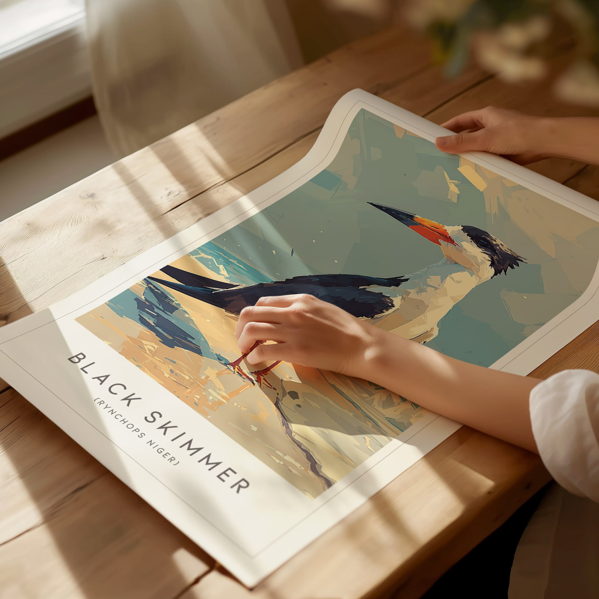 A person gently touches a vibrant poster featuring a Black Skimmer, showcasing the birds striking blue and white plumage against a sandy background. The artwork captures the coastal beauty and elegance of this shorebird in a serene setting.