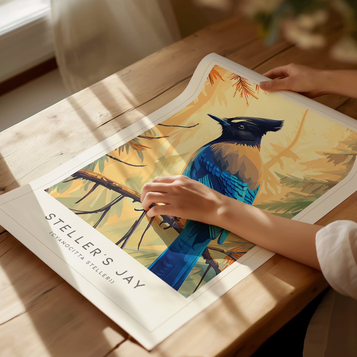 Steller's Jay, Cyanocitta stelleri Poster | Bold Mountain Bird Wall Art — giclée print detail on matte paper