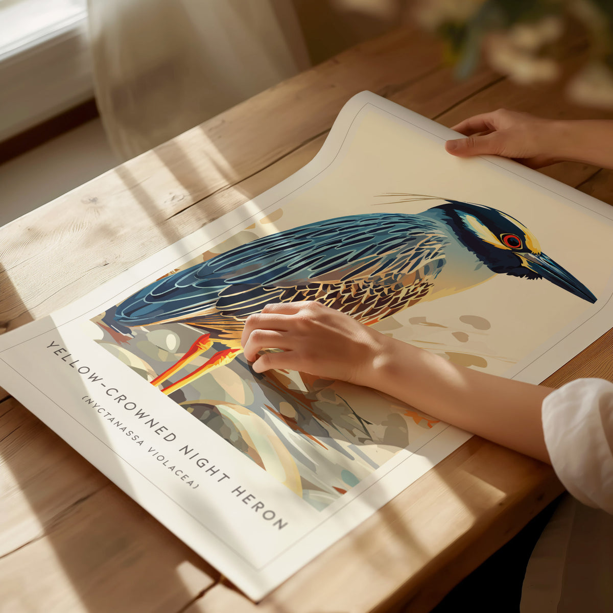 Yellow-crowned Night Heron, Nyctanassa violacea Poster | Elegant Wading Bird Wall Art — giclée print detail on matte paper