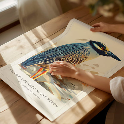 Yellow-crowned Night Heron, Nyctanassa violacea Poster | Elegant Wading Bird Wall Art — giclée print detail on matte paper