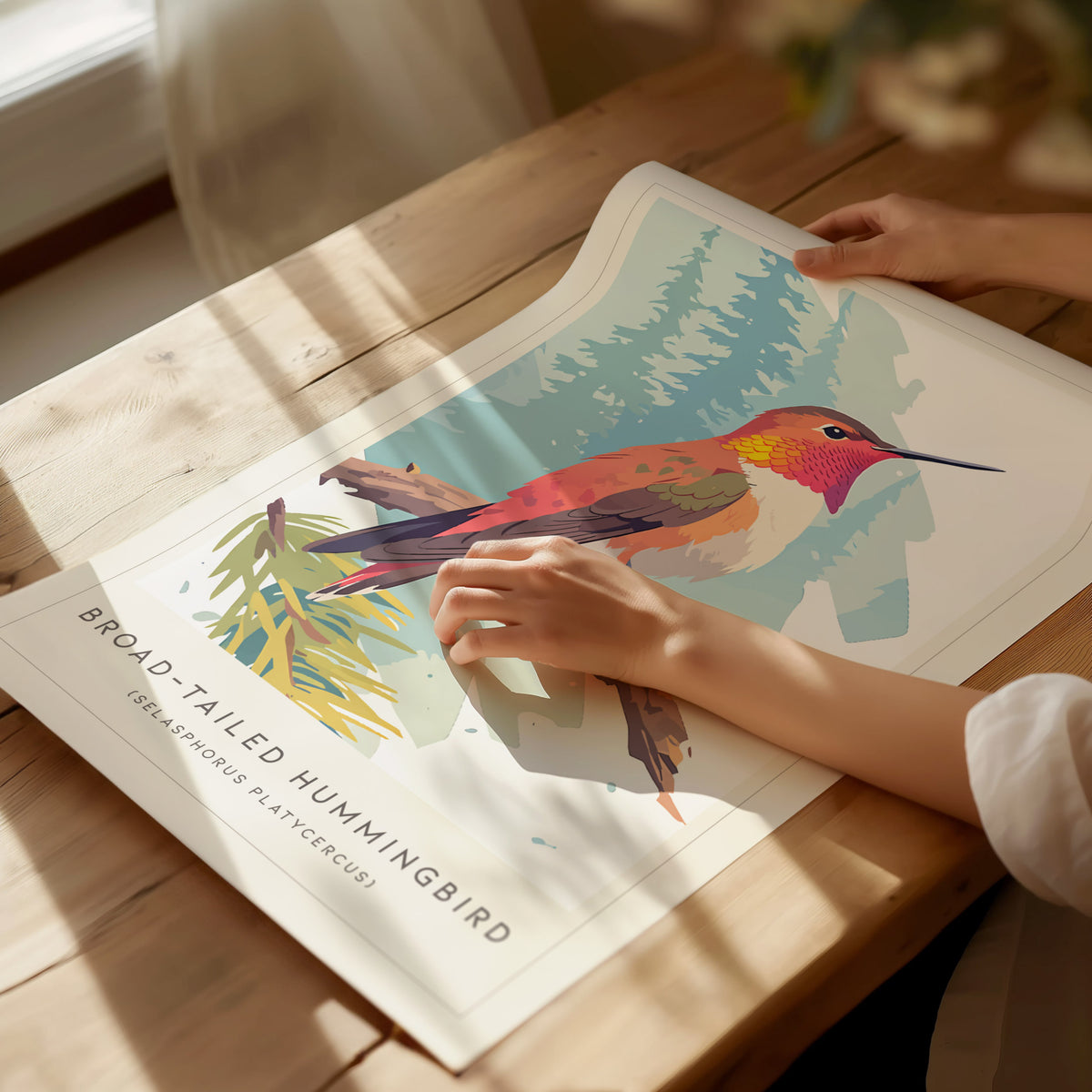 Broad-tailed Hummingbird, Selasphorus platycercus Poster | Vibrant Wildlife Print Nature Wall Art — giclée print detail on ma