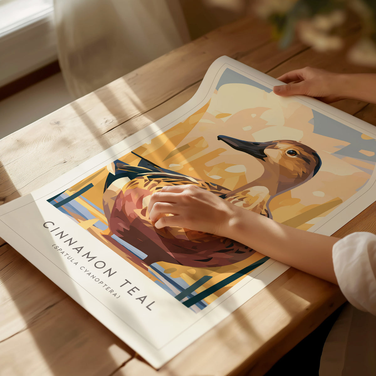 Cinnamon Teal, Spatula cyanoptera Poster | Vibrant Wetland Bird Wall Art — giclée print detail on matte paper