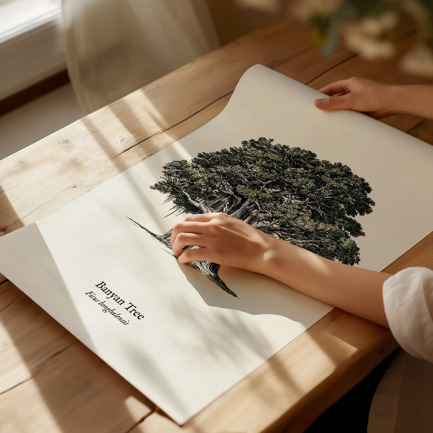 Banyan Tree Poster | Vintage Ficus benghalensis Botanical Illustration Wall Art — giclée print detail on matte paper