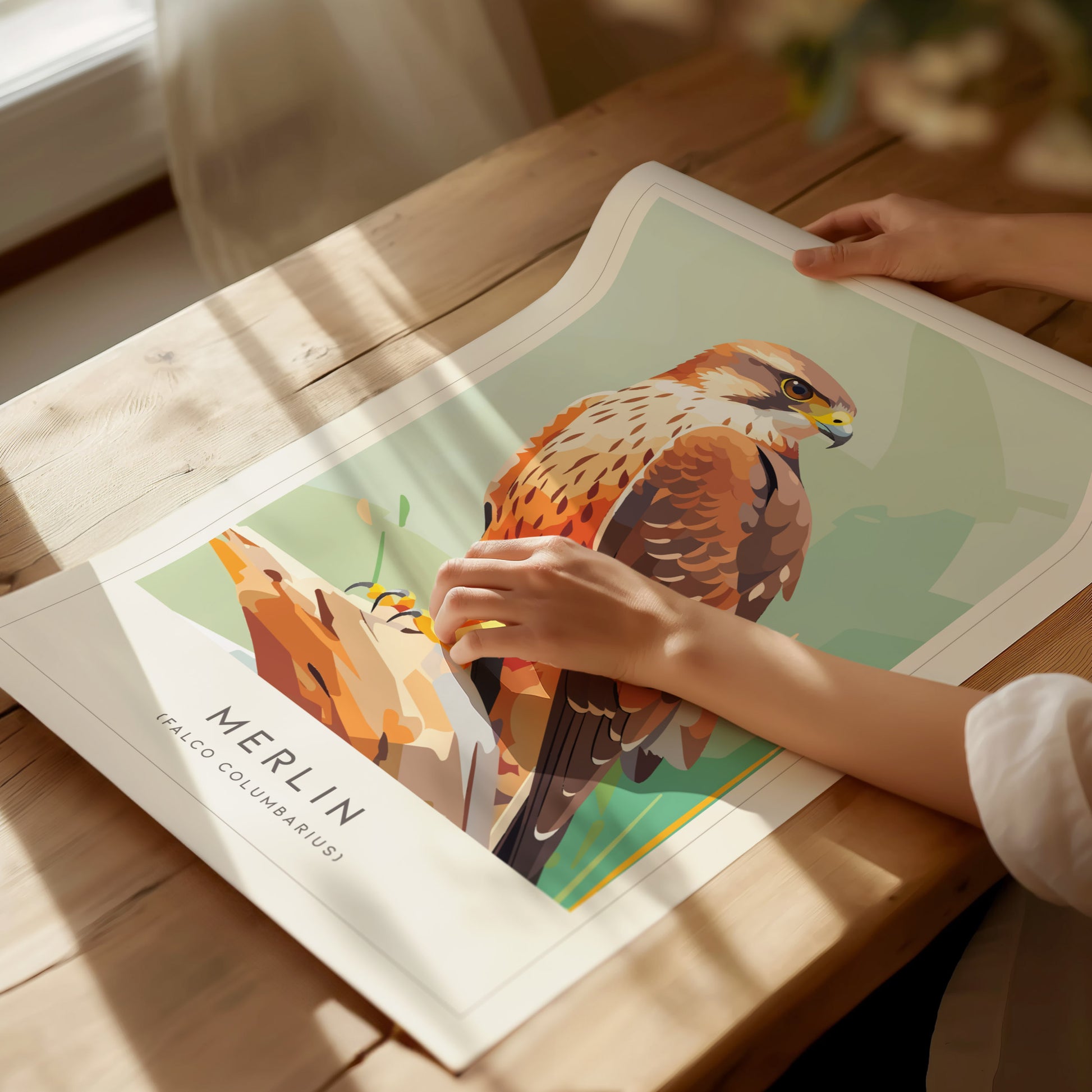 Merlin Bird Poster | Compact Falcon in Flight Wall Art — giclée print detail on matte paper