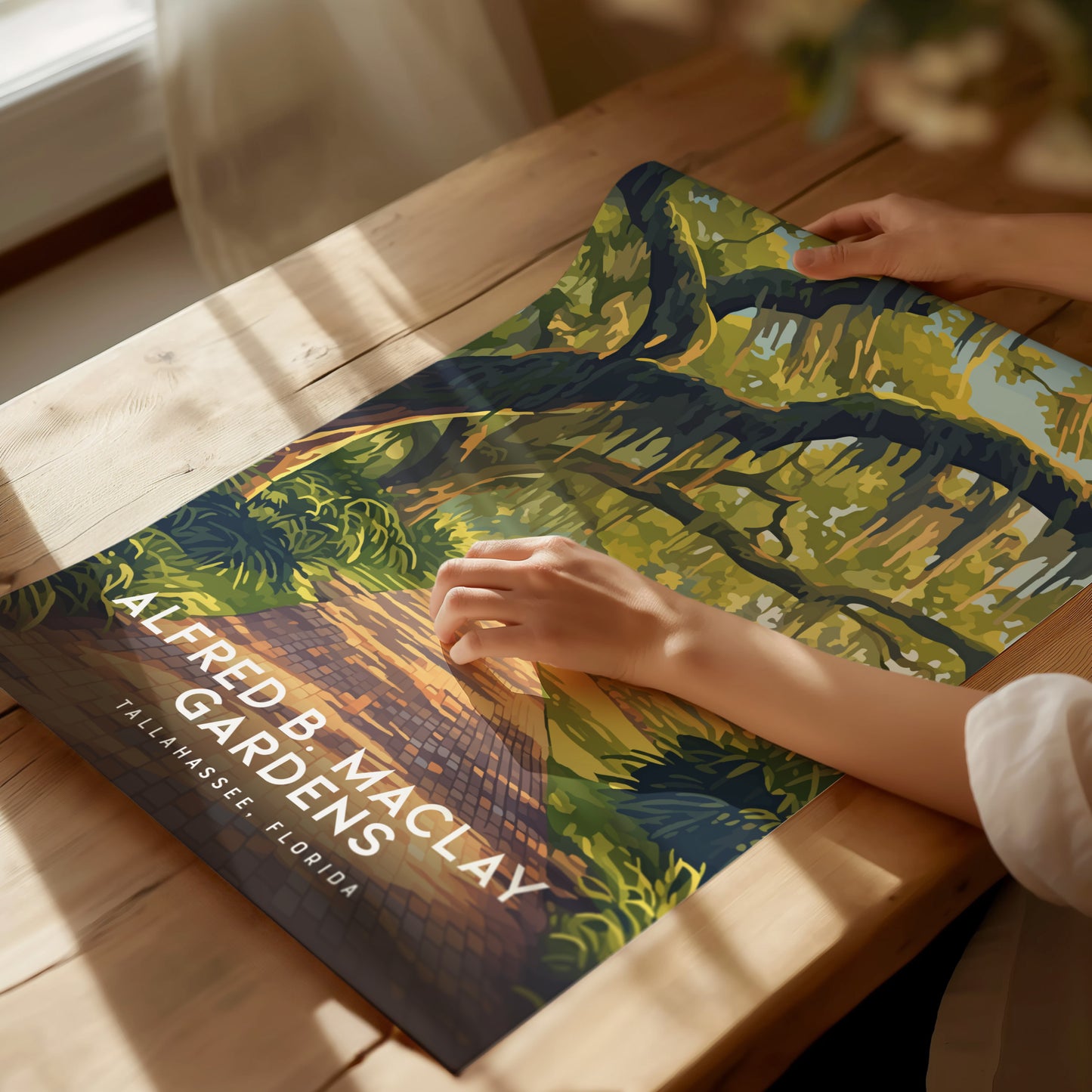 A person gently holds an illustrated poster of Alfred B. Maclay Gardens, showcasing vibrant trees and a brick path. Sunlight streams through a nearby window onto the wooden table.