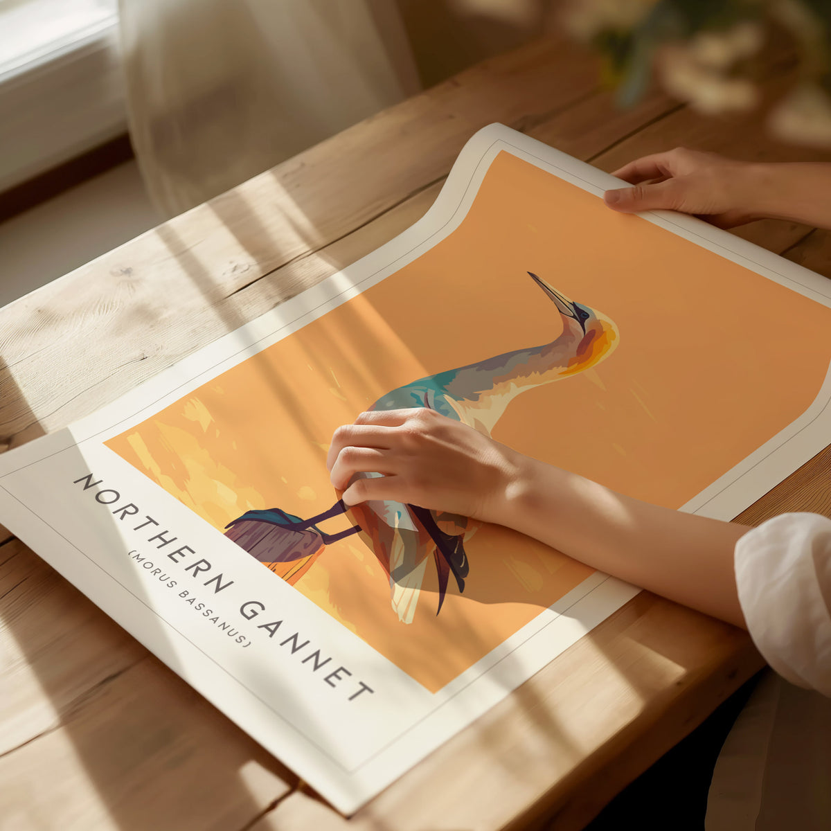 Northern Gannet, Morus bassanus Poster | Striking Seabird Wildlife Print Wall Art — giclée print detail on matte paper