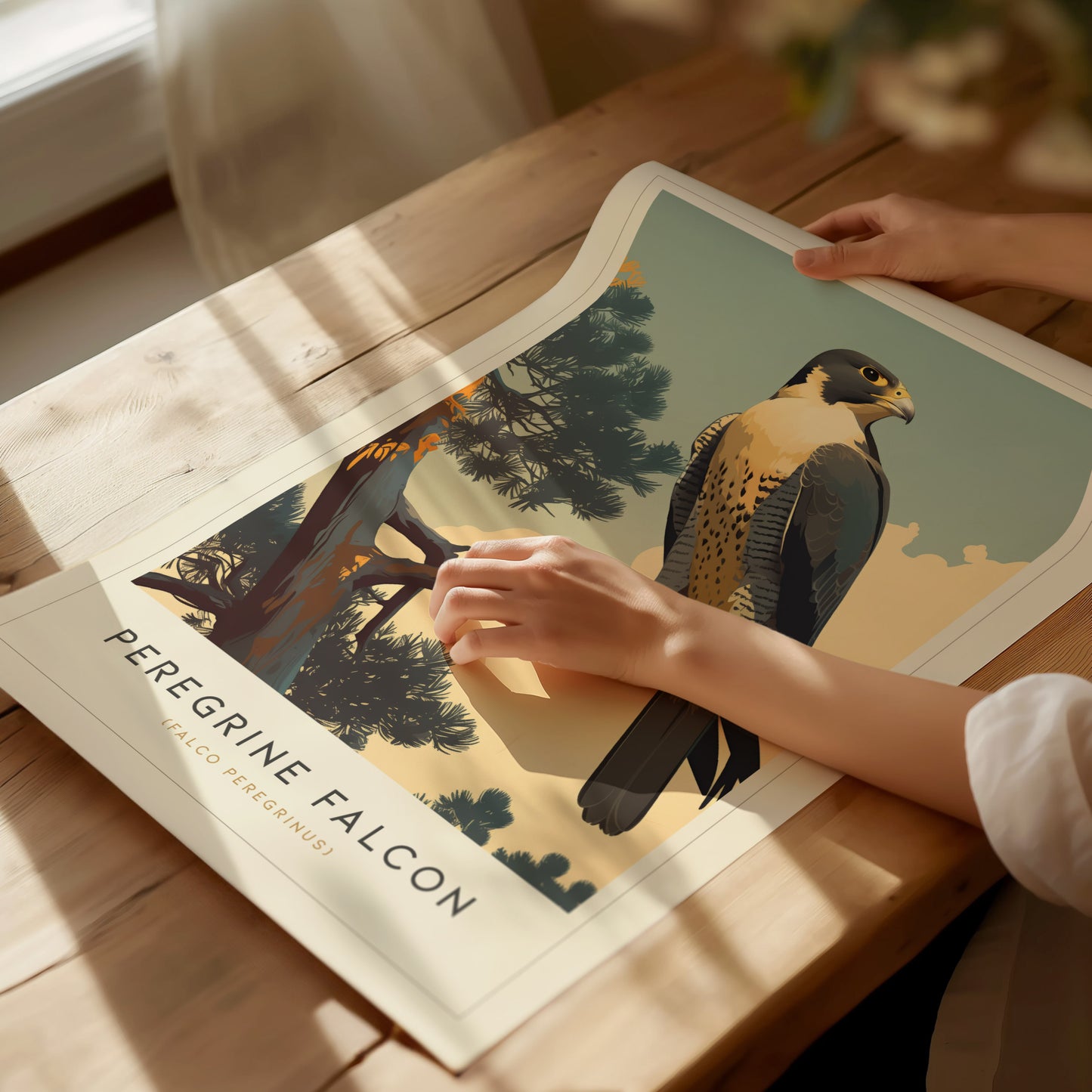 Peregrine Falcon Poster | Modern Audubon Bird of Prey Wall Art Print