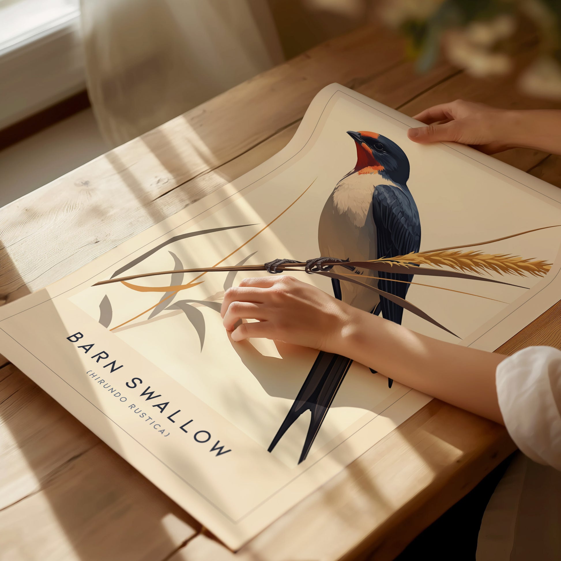 Barn Swallow Audubon Print | Bird Lover Wall Art | Framed or Unframed