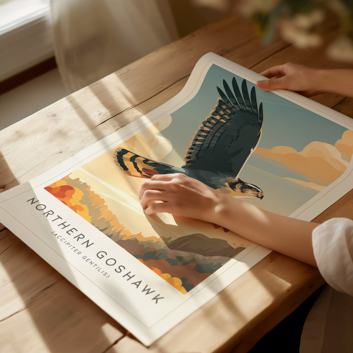 Northern Goshawk, Accipiter gentilis Poster | Fierce Raptor Bird Wall Art — giclée print detail on matte paper