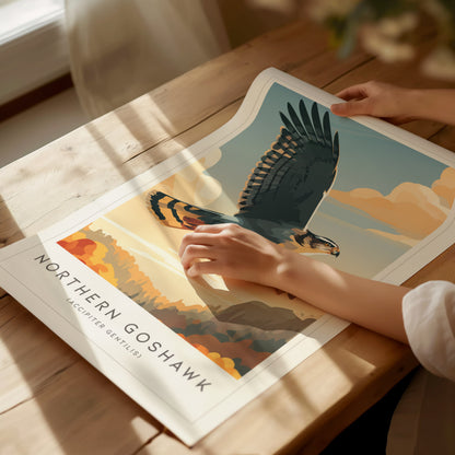 Northern Goshawk, Accipiter gentilis Poster | Fierce Raptor Bird Wall Art — giclée print detail on matte paper