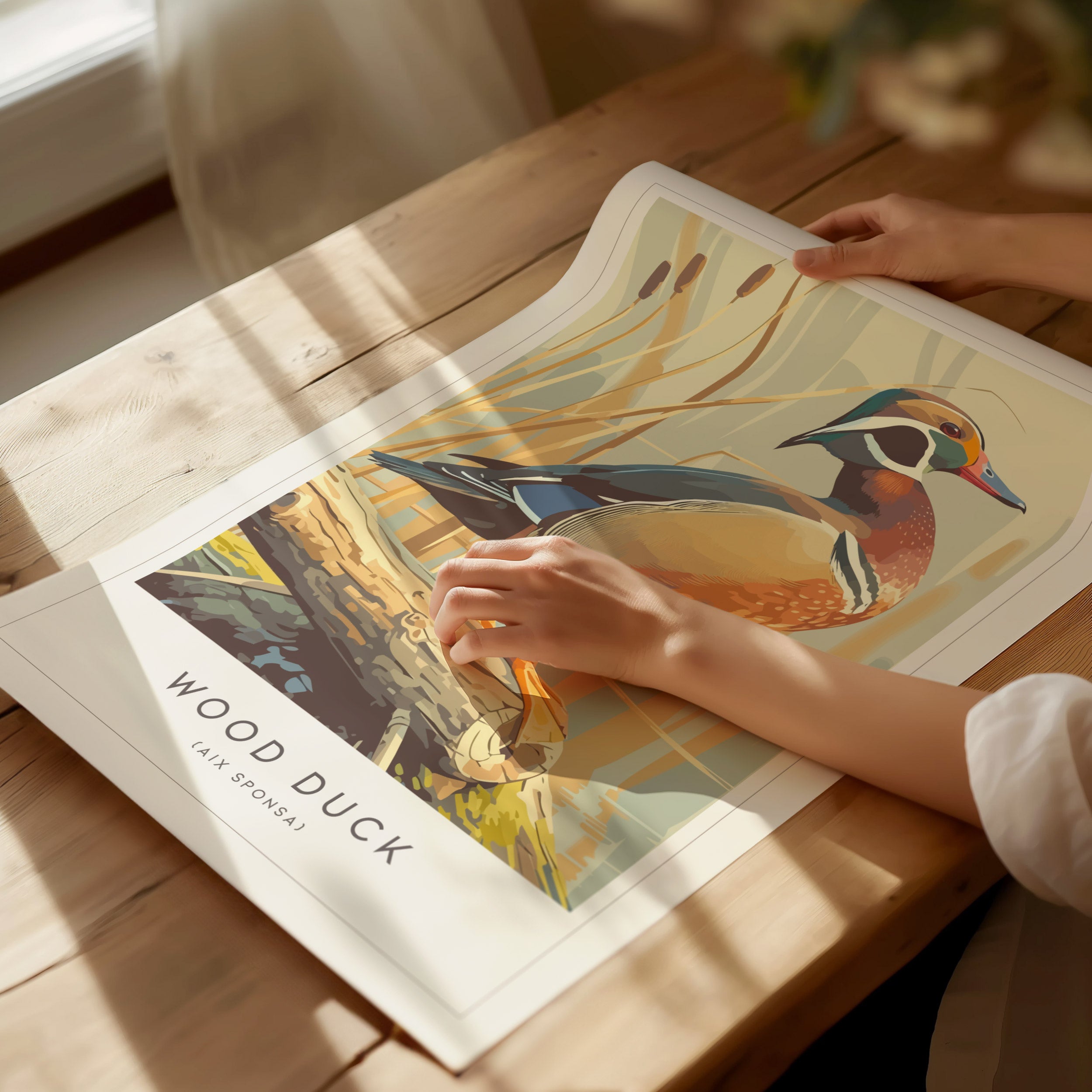 Wood Duck Art Print | Nature-Inspired Home Decor | Swell Scenes