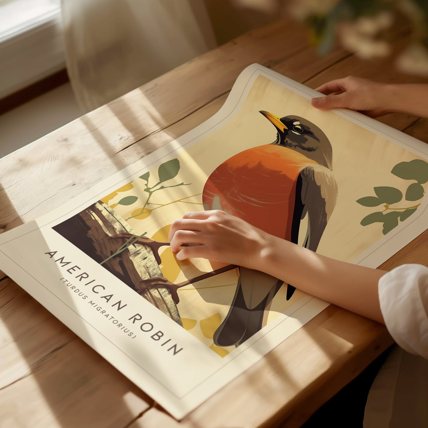 A person holds an American Robin poster featuring a red-breasted bird on a branch, placed on a wooden table with sunlight streaming through a nearby window.