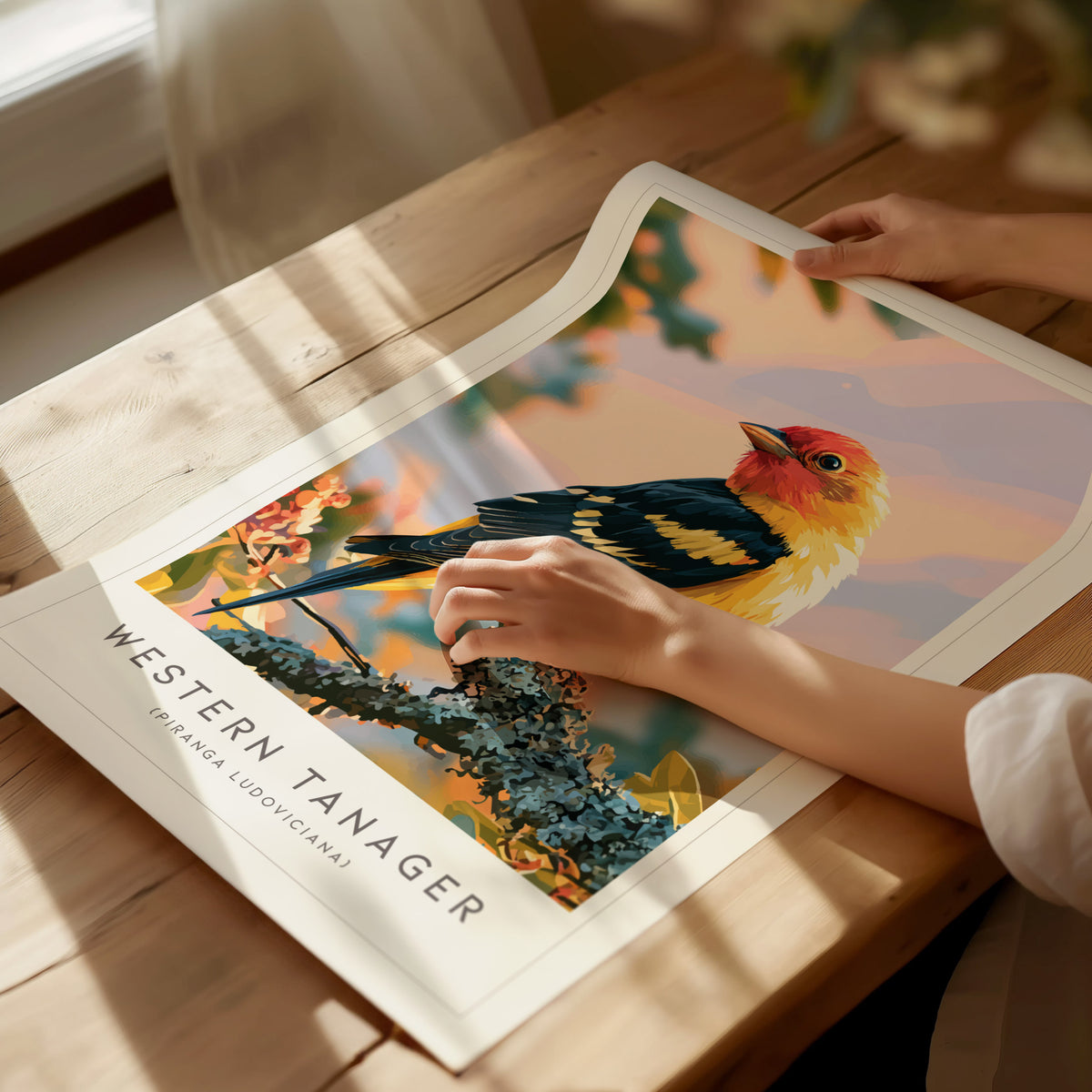 Western Tanager, Piranga ludoviciana Poster | Vibrant Songbird Nature Wall Art — giclée print detail on matte paper