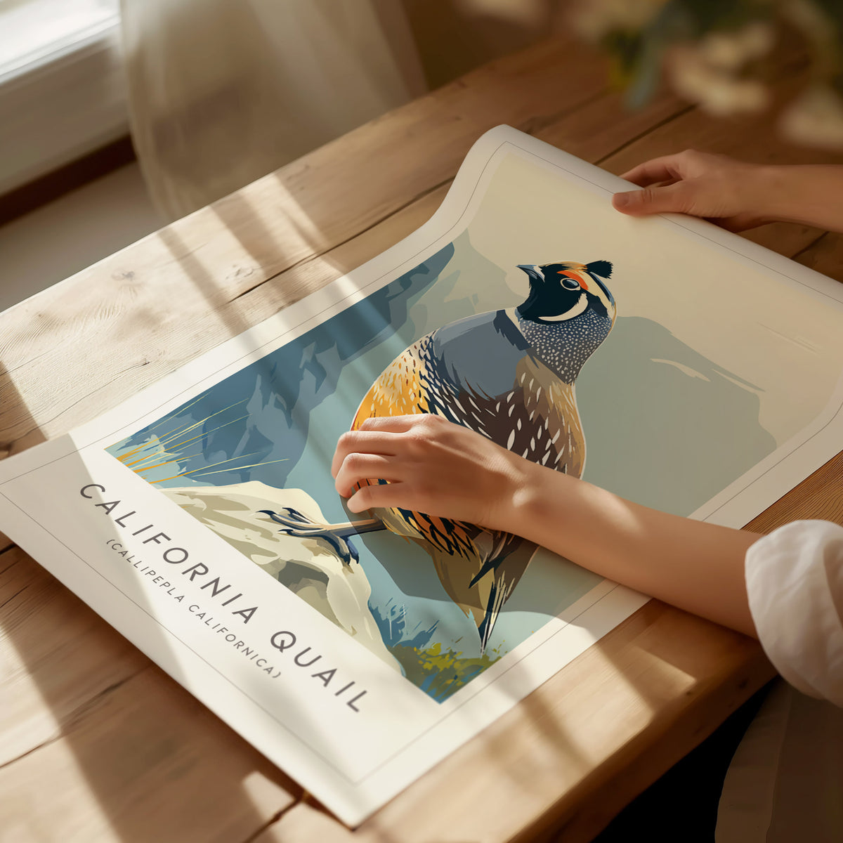 California Quail Poster | Golden State Bird Illustration Wall Art — giclée print detail on matte paper