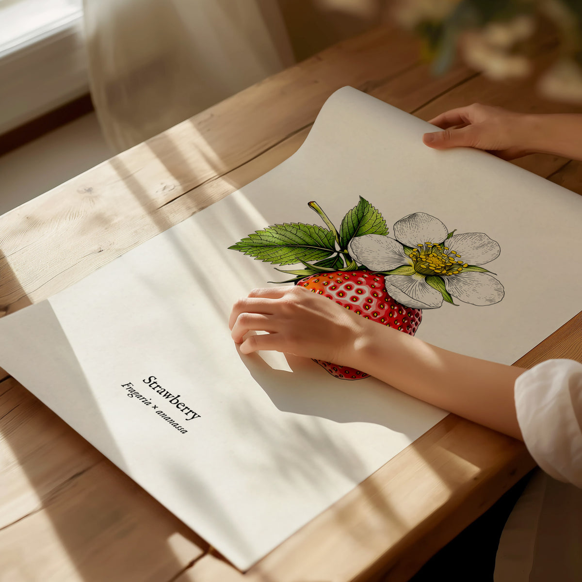 Strawberry Poster | Fragaria × ananassa Pen and Ink Print Vintage Botanical Illustration Wall Art — giclée print detail on ma