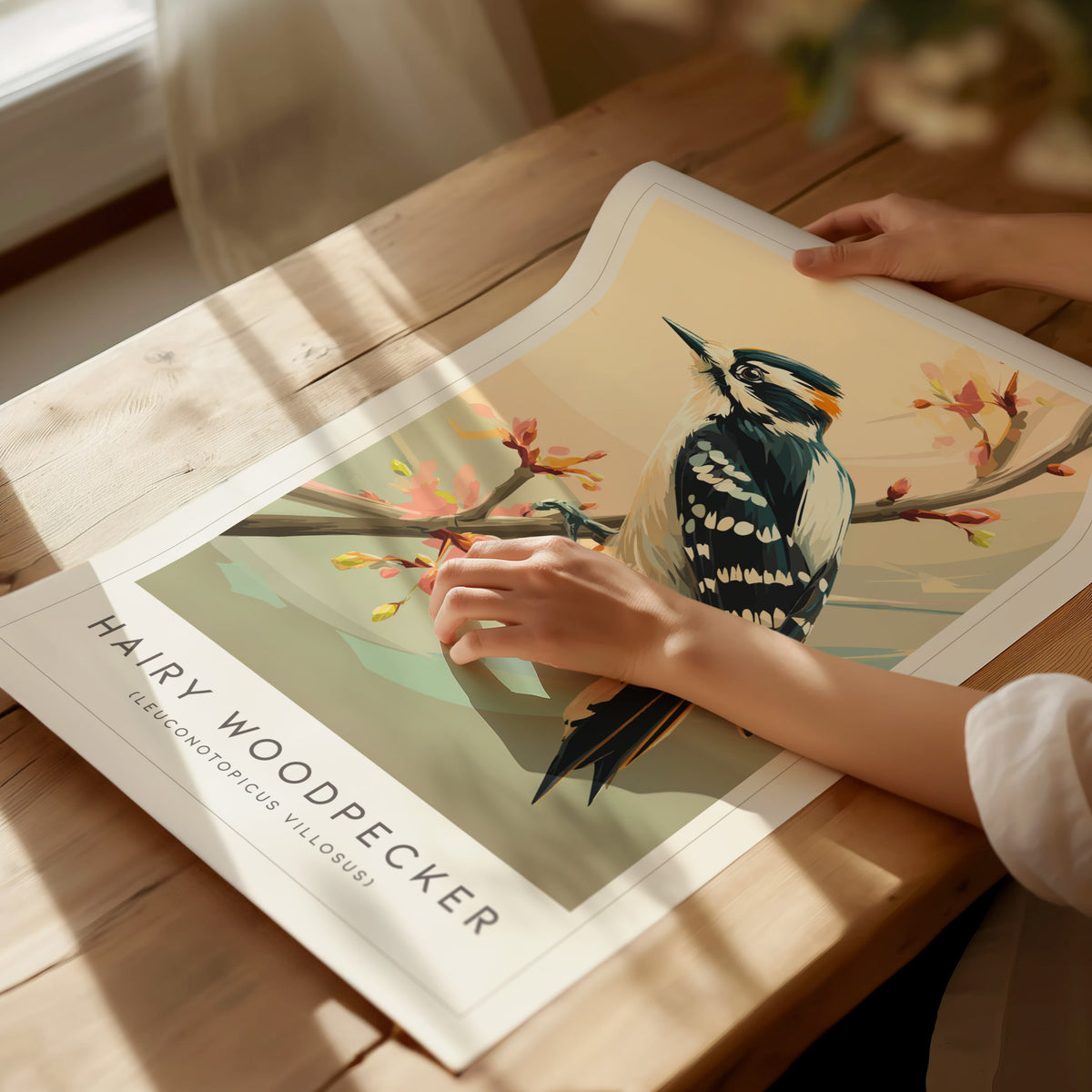 Hairy Woodpecker Poster | Bold Forest Bird Illustration Wall Art — giclée print detail on matte paper
