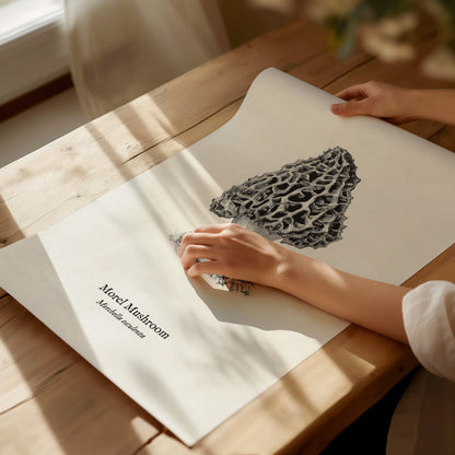 Morel Mushroom Poster | Morchella esculenta Pen and Ink Print Vintage Scientific Illustration — giclée print detail on matte