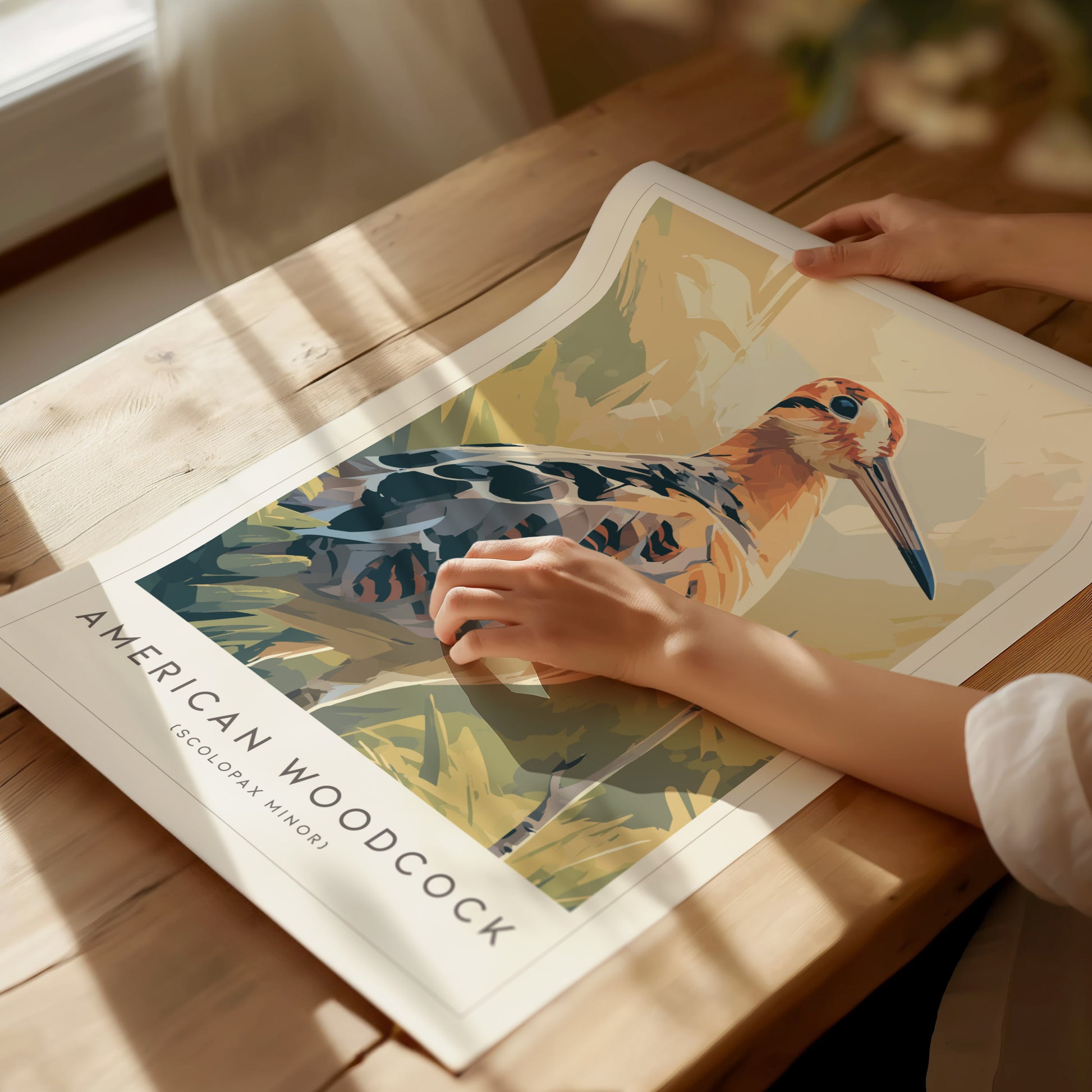 American Woodcock Poster | Woodland Shorebird Nature Illustration Wall Art — giclée print detail on matte paper