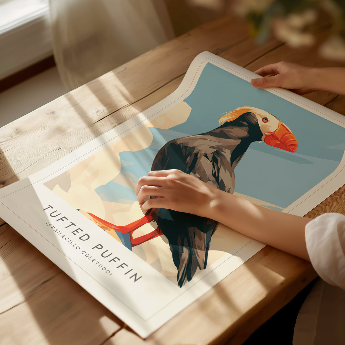 Tufted Puffin, Frailecillo Coletudo Poster | Bold Seabird Wildlife Print Wall Art — giclée print detail on matte paper