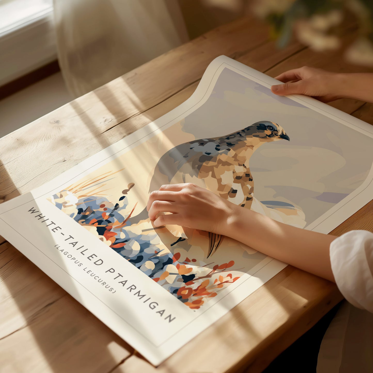 White-tailed Ptarmigan, Lagopus leucurus Poster | Alpine Bird Wall Art — giclée print detail on matte paper