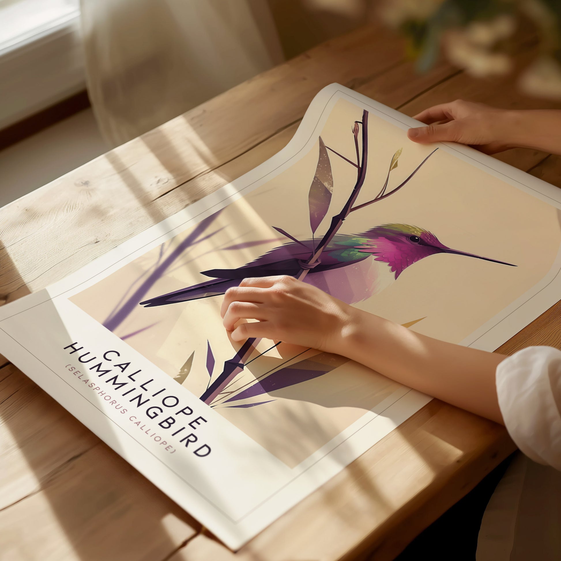 Calliope Hummingbird Audubon Print | Bird Lover Wall Art | Framed or Unframed