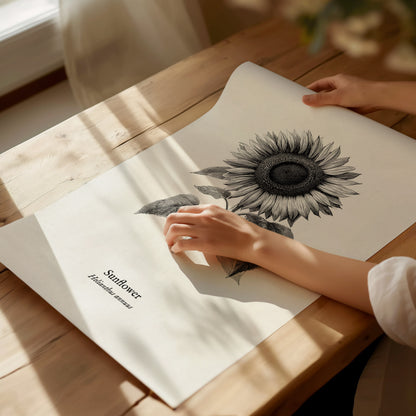Sunflower Poster | Helianthus annuus Vintage Botanical Ink Illustration Line Art Print — giclée print detail on matte paper