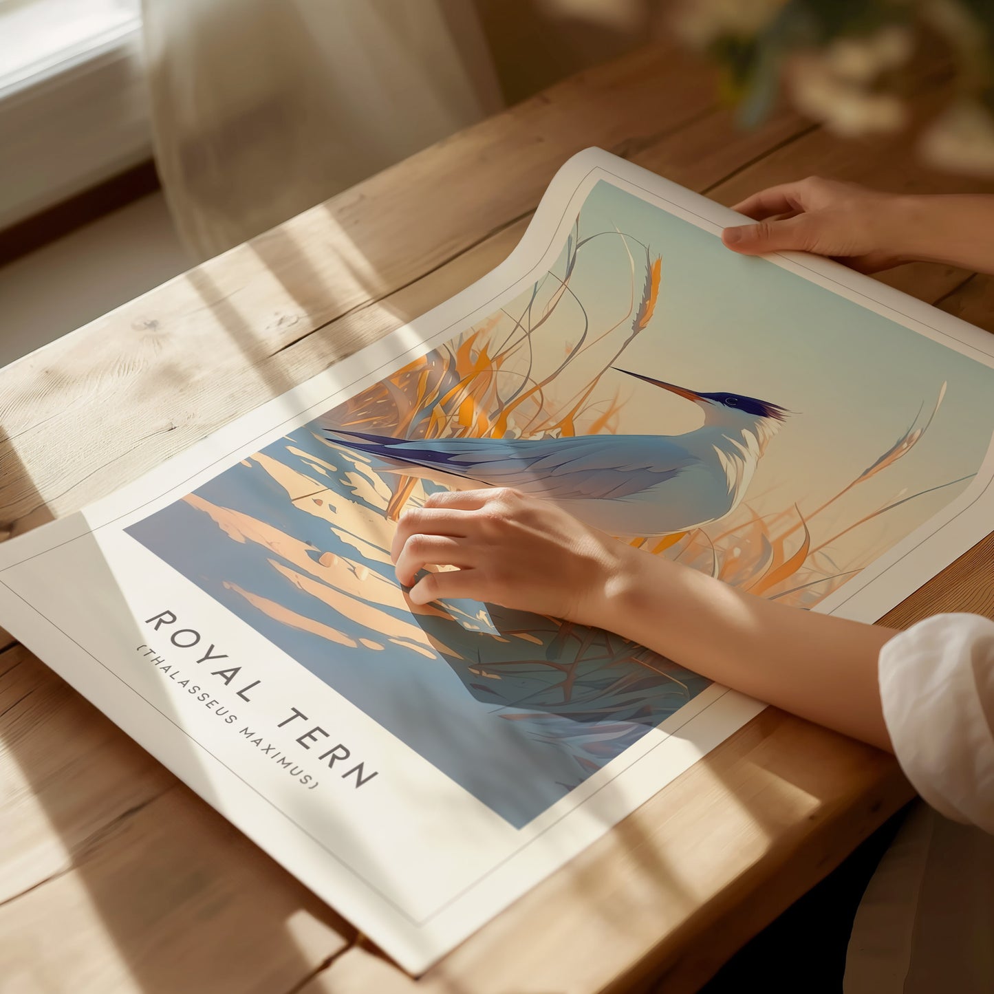 Royal Tern Poster | Beach Bird Art Coastal Decor | Birdwatching Gift