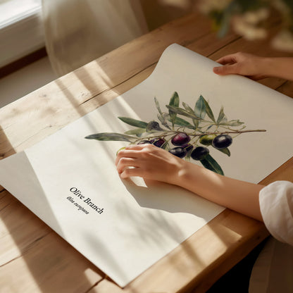 Olive Branch Poster | Vintage Olea europaea Botanical Illustration Wall Art — giclée print detail on matte paper