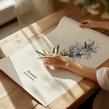 Rosemary Poster | Vintage Salvia Rosmarinus Botanical Illustration Wall Art — giclée print detail on matte paper